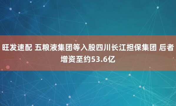 旺发速配 五粮液集团等入股四川长江担保集团 后者增资至约53.6亿
